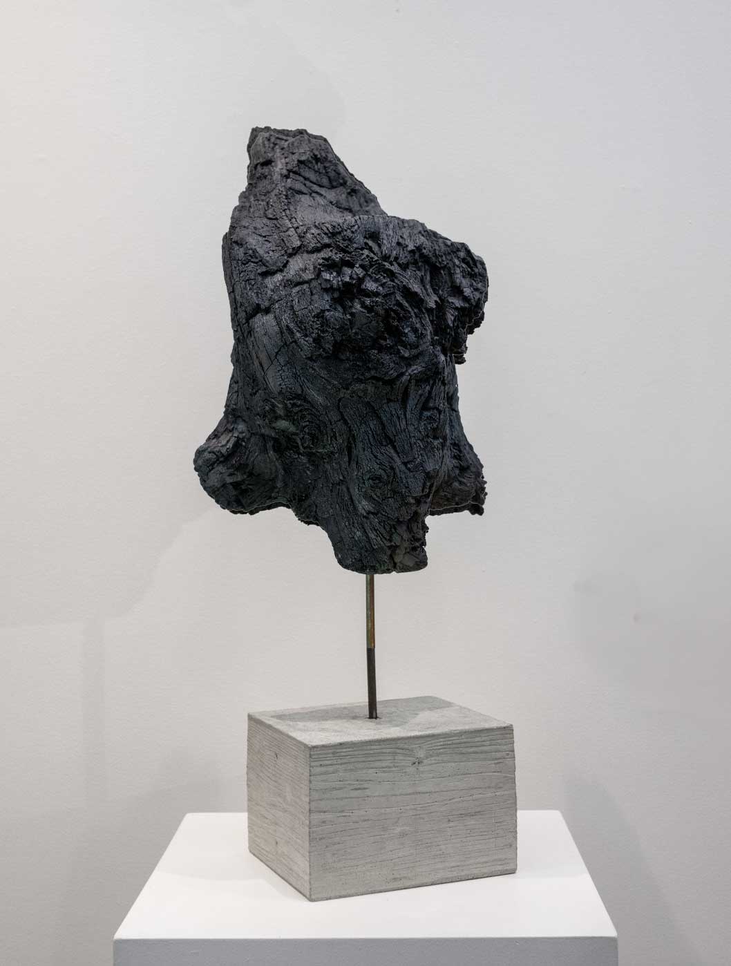burnt wood sculpture